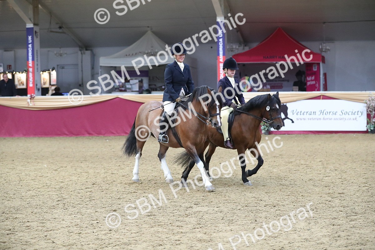 SBM_13693 - Class 109 Ridden Pairs - Section B