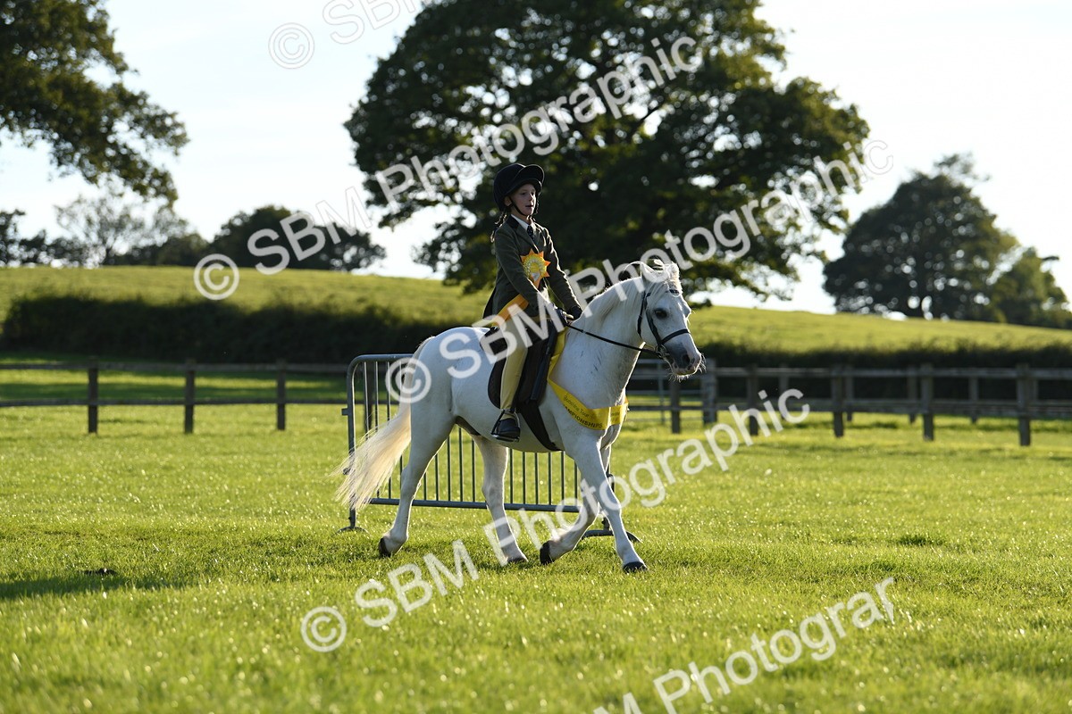 SBM_54205 - S23 - 1st Ridden Mountain & Moorland Pony