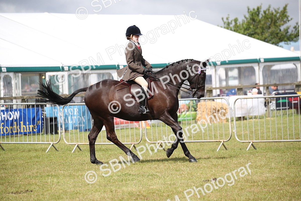 SBM_13200 - Class 95-96 - LIHS BSHA Rising Star Hack Riding Horse