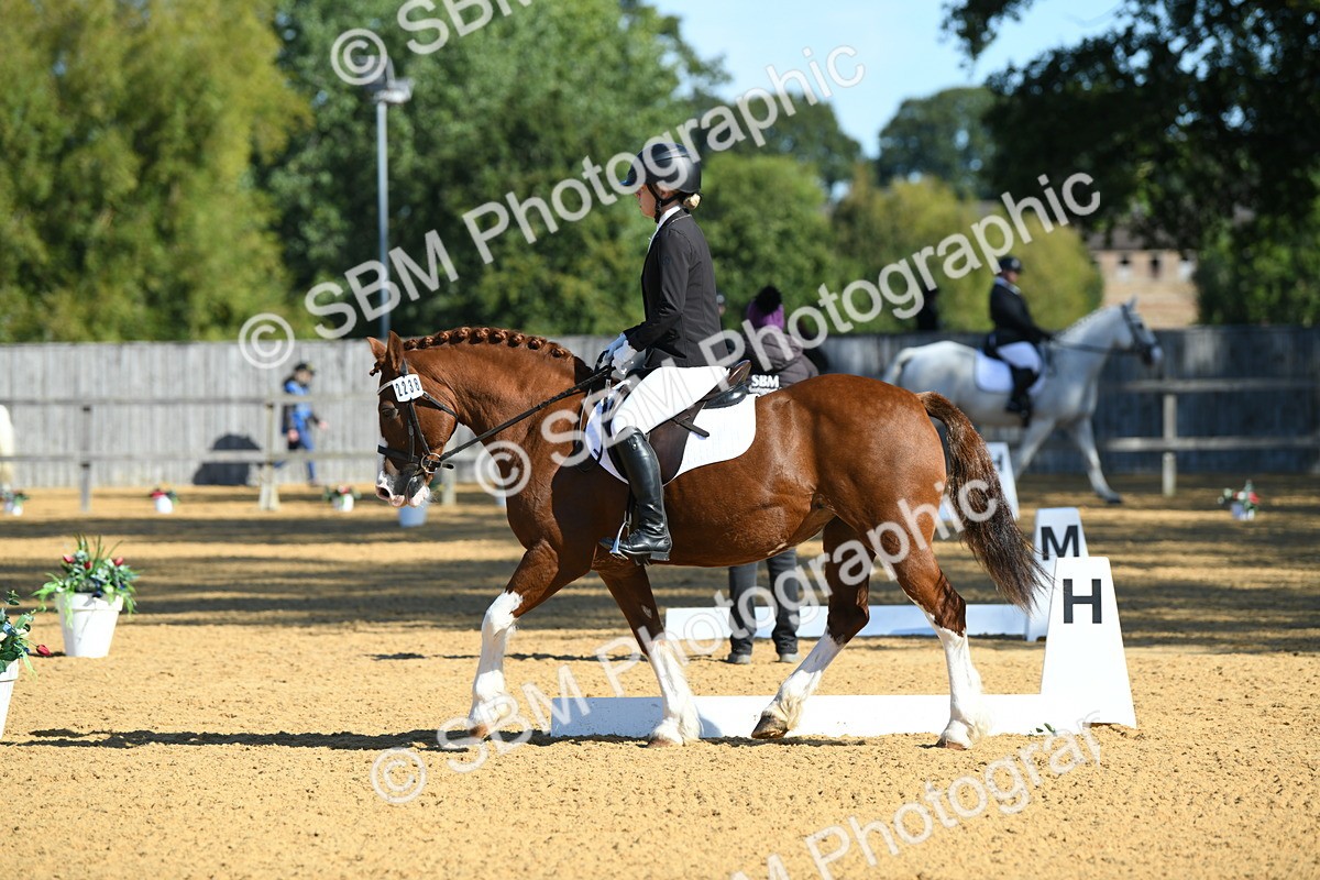 SBM_18038 - D4 - Small Tour Championship - Intro B