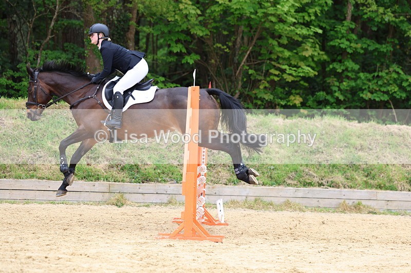 3E7A6090 - Class 4: Senior British Novice/90cm open