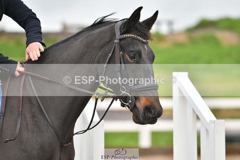 231110A-104646-00131 - Cls 2 British Novice & 90cm Open