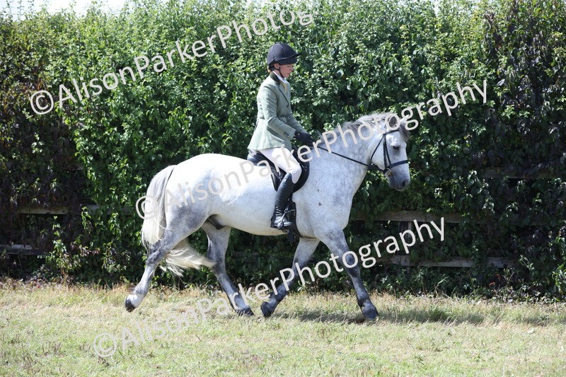 20250831-2925 - Class 19 - Mountain and Moorland