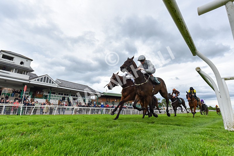 210526-Race 7-Velvet Rhythm-8349 - Race 7 17.27pm Racing Again 30th May Fillies' Handicap