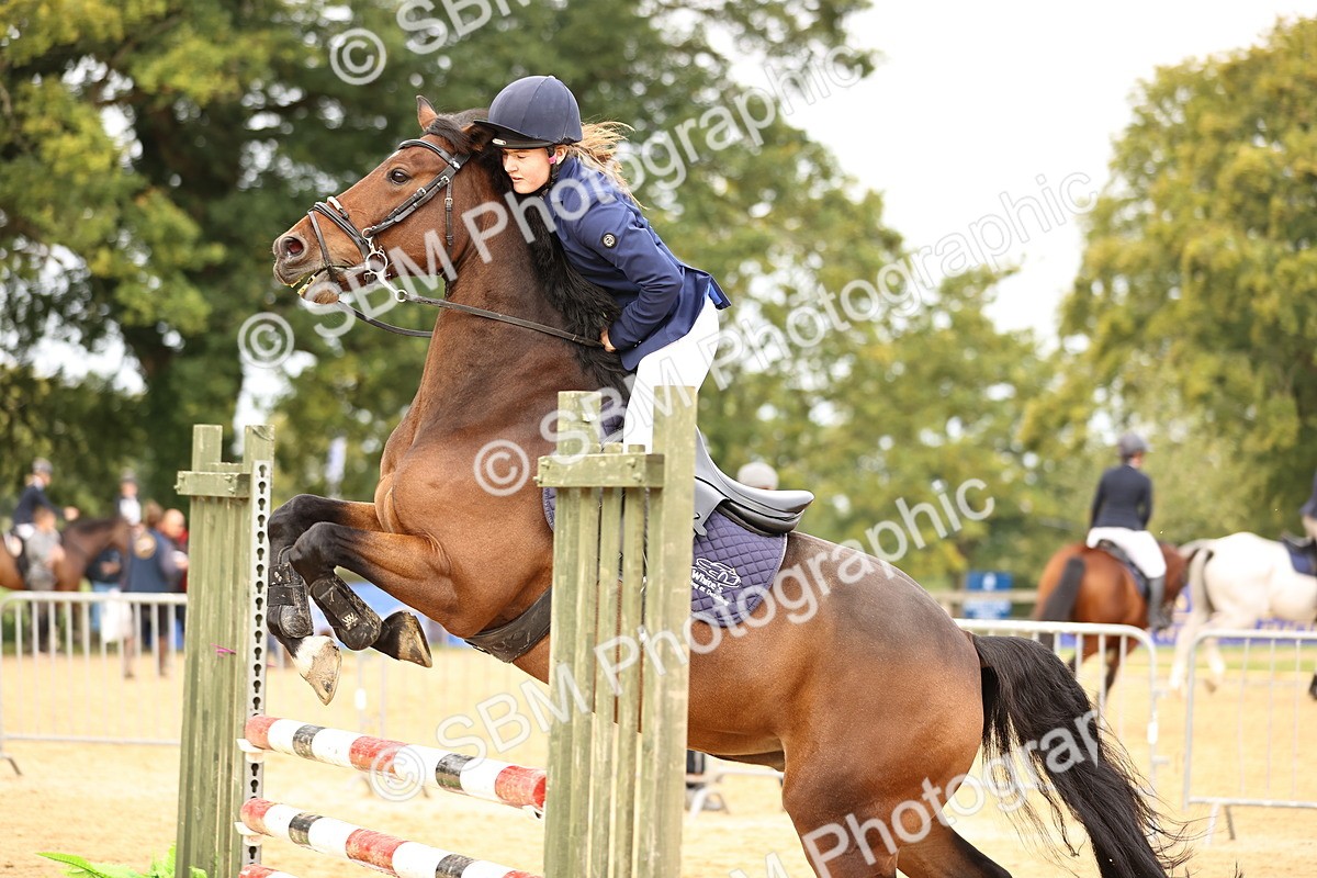 SBM_58509 - J41 - Grand Tour Horse & Pony 95cm