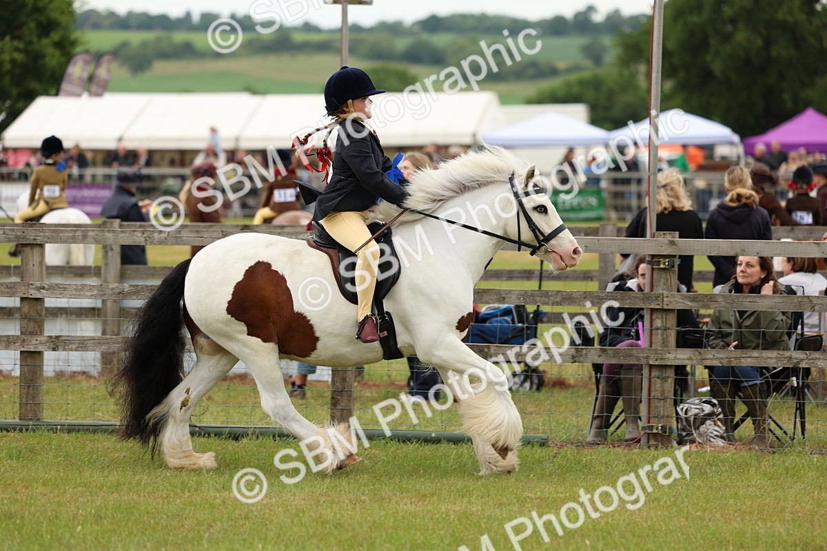 SBM_06258 - Class 39-41 TGCA In Hand and Ridden