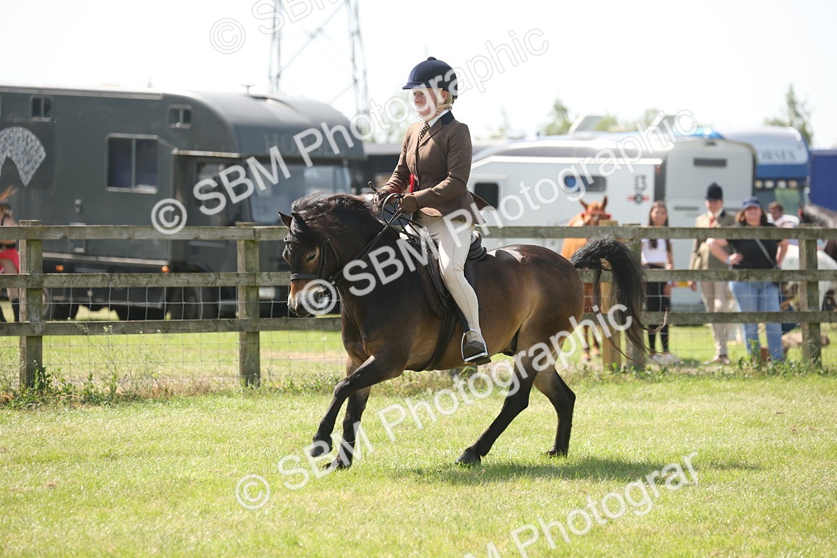 SBM_07716 - Class 26-30 - Mountain and Moorland Ridden
