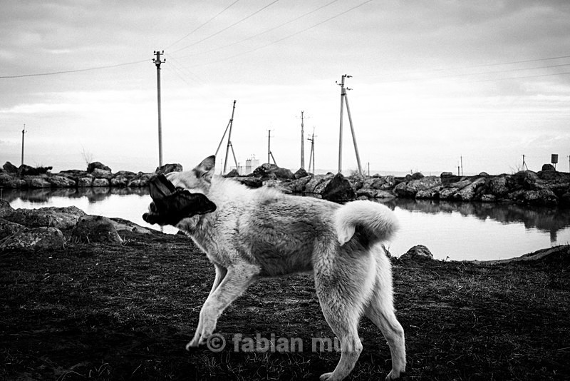  - Caucasus