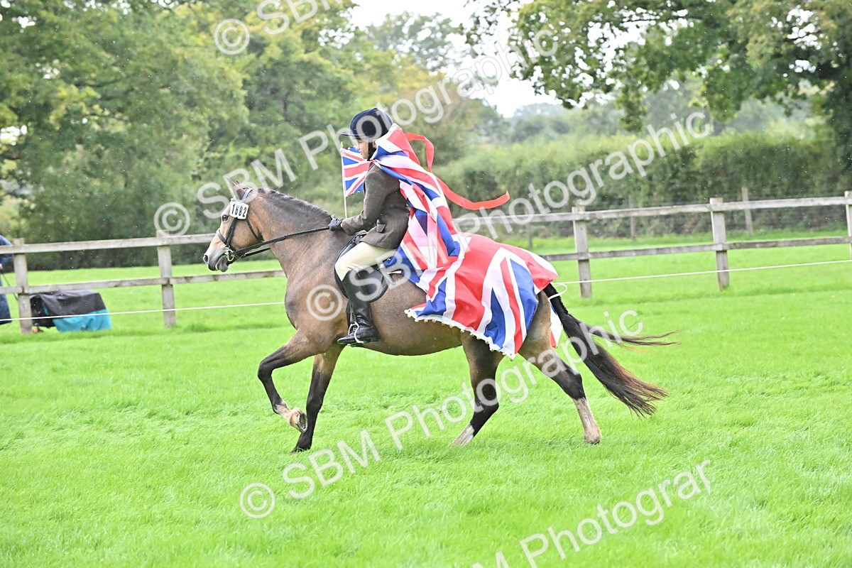 SBM_42960 - S12 - Family Horse & Pony