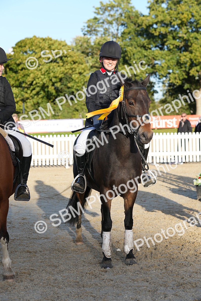 SBM_54055 - J8 - Junior Pony 65cm Championship