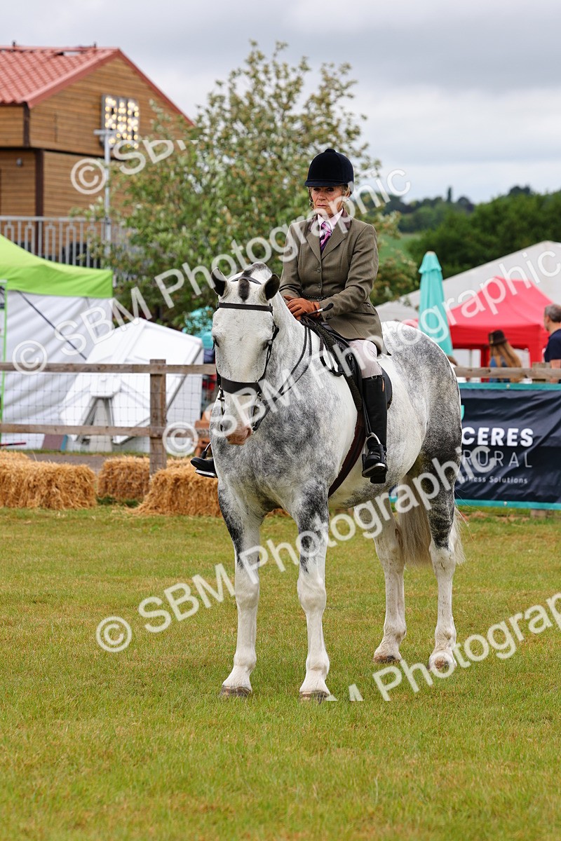 SBM_02552 - Class 9-11 Side Saddle including LIHS Rising Star Ladies Show Horse