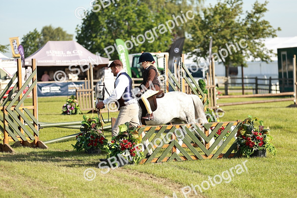 SBM_11133 - Class 106-107 - BSPS LIHS Working Sports Pony