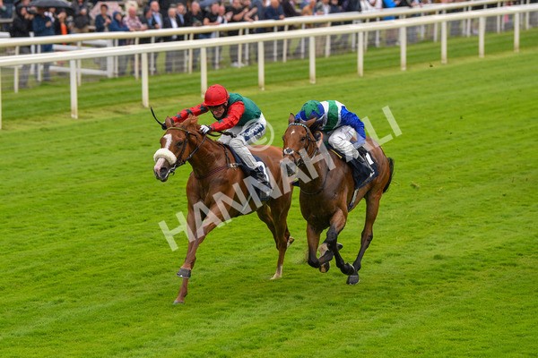 140723-Race 1-Northern Express-8090 - Race 1 2.05pm William Hill Epic Value Handicap