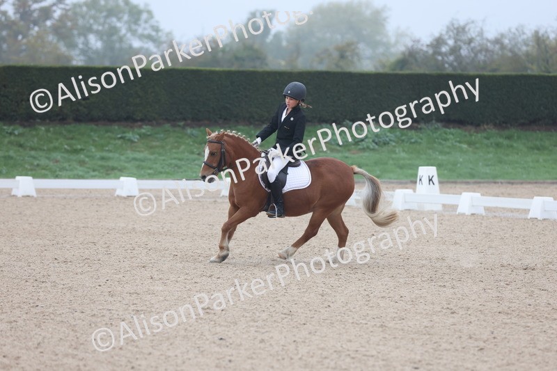 20251012-0084 - Class 1 - Prelim 5