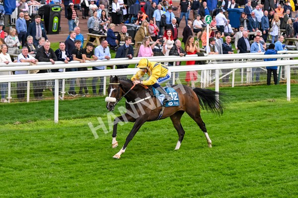 150524-Race 7-Dancing In Paris-4737 - Race 7 5.20pm Stuey Weston & Friends Getting Out Handicap
