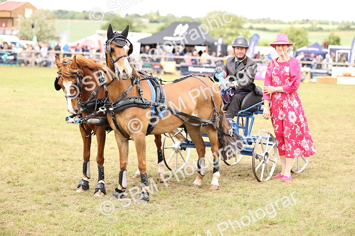 SBM_16116 - Class 91 - Scurry  exceeding 122cms