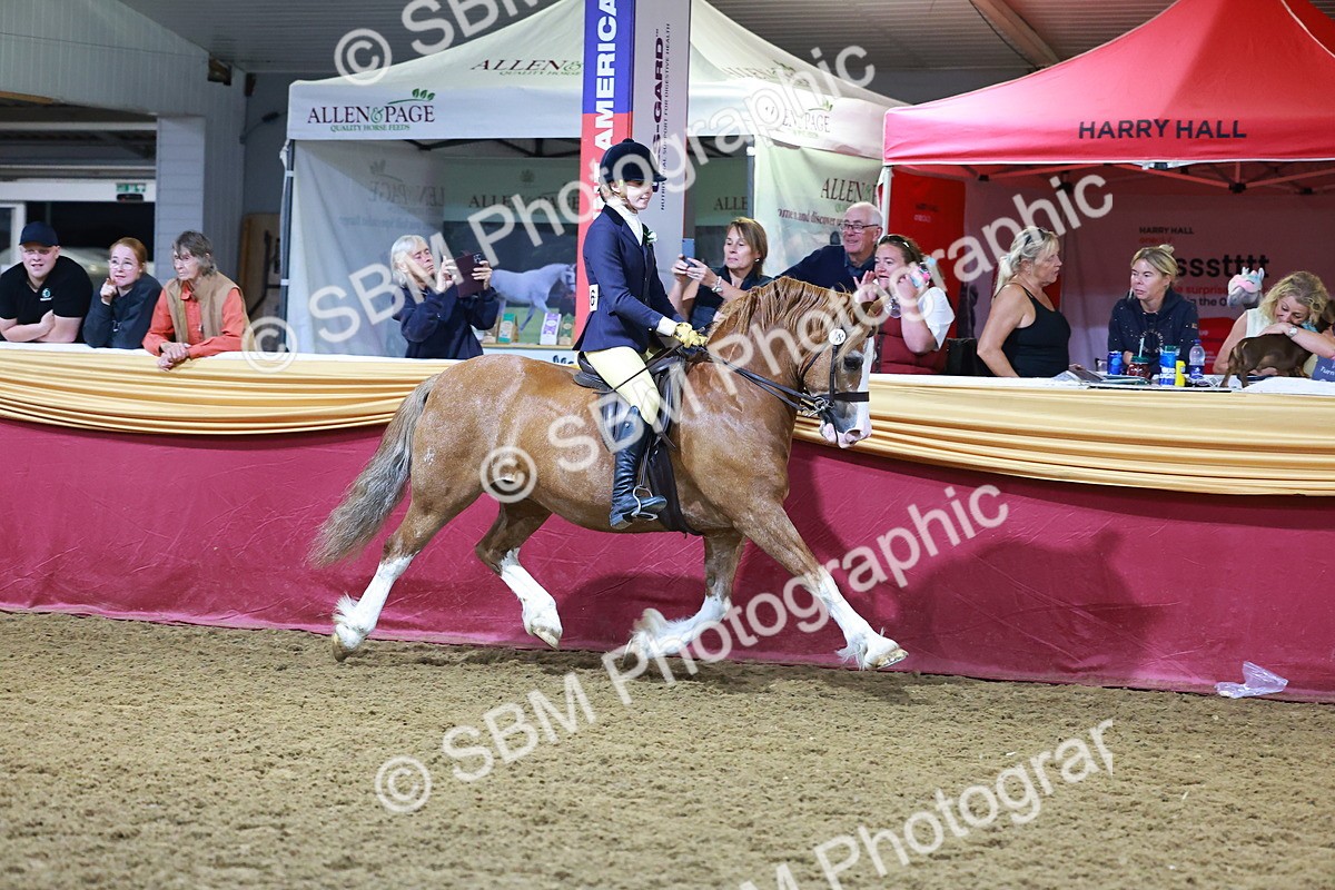SBM_15249 - Class P - M&M Champ