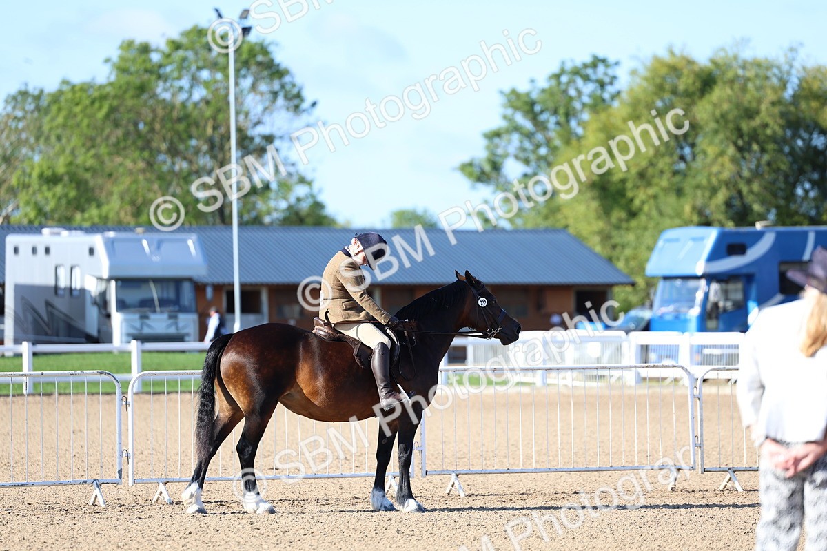 SBM_08860 - Class 302 - Ridden M&M - Large Breeds