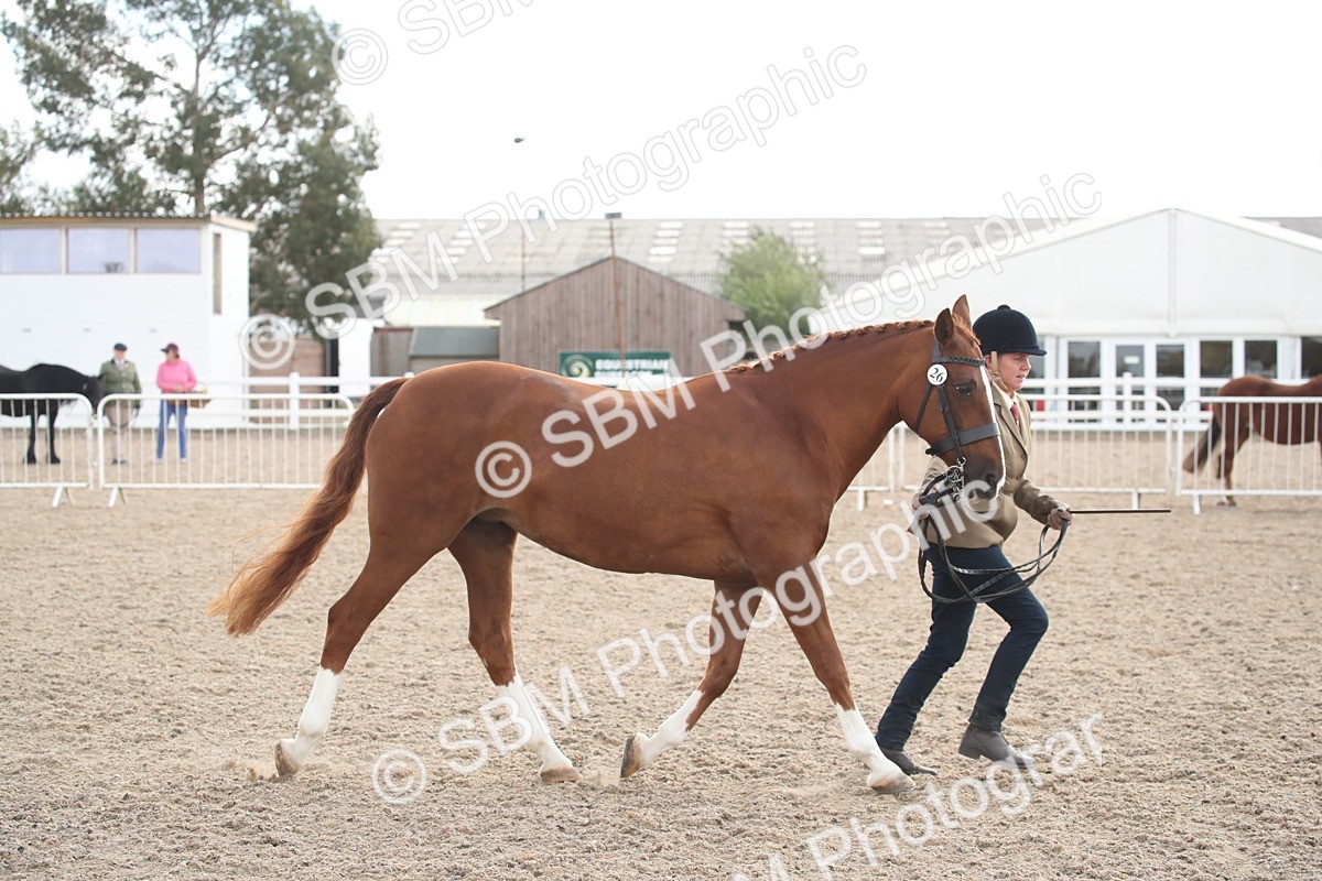 SBM_23451 - Class 604 - 2026 - Area IH Diamond