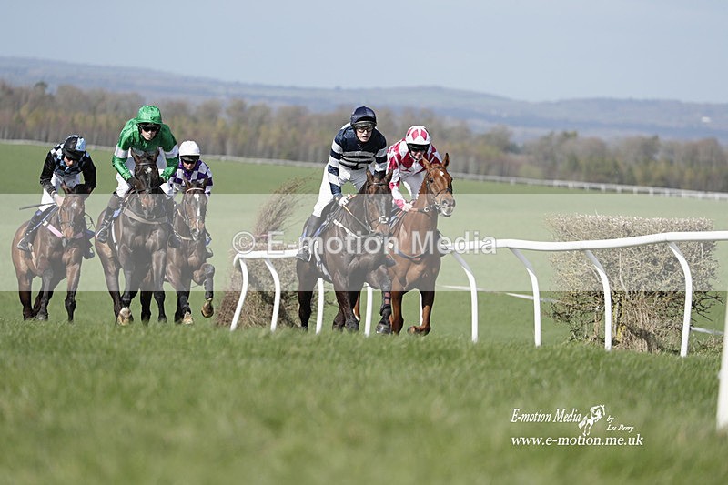 PtP 100423 869 - Old Berkshire Point-to-Point Lockinge 10/04/23