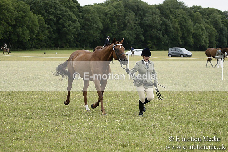 BVR160717-218 - Ring 2 BVRC Show 16/07/17