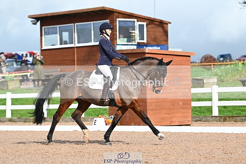 240218A-135859-07936 - 174-Charlie.Cornish-Dali.Van.Het.Burghof.Z