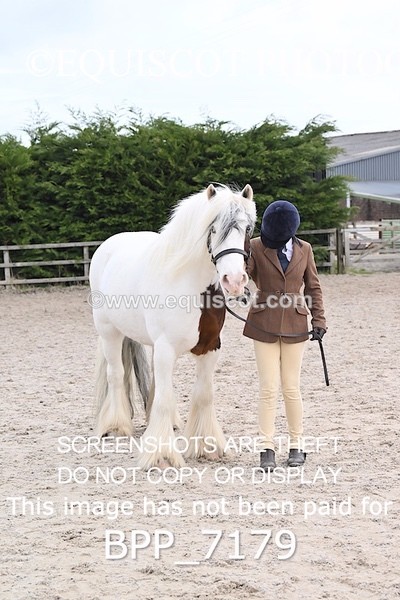 BPP_7179 - RING 1  (RIDDEN HORSES / IN HAND / VETERAN ETC)