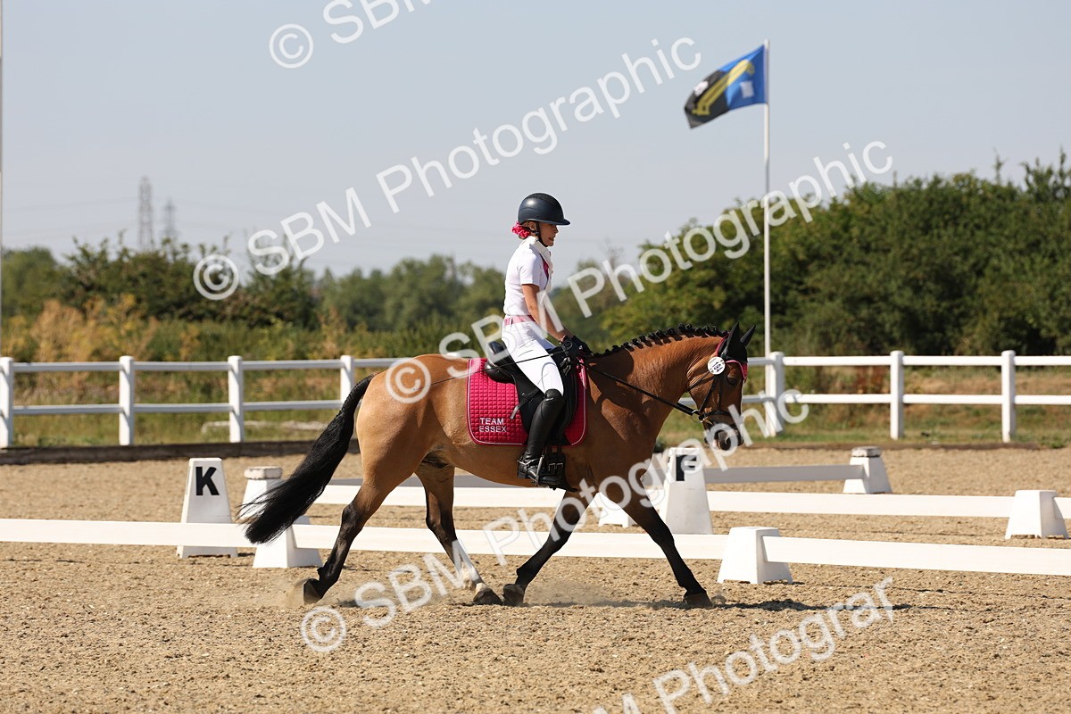 SBM_006299