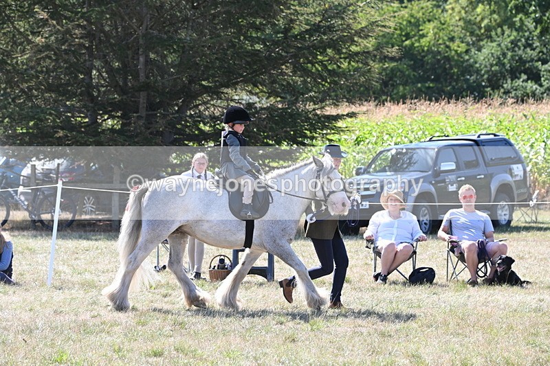 WJ6_7910 - Class 36 Lead Rein