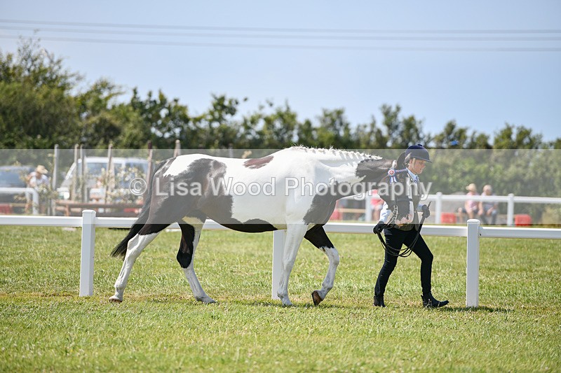 DSC_7815 - Class 65: Coloured Horse 4yrs & Over