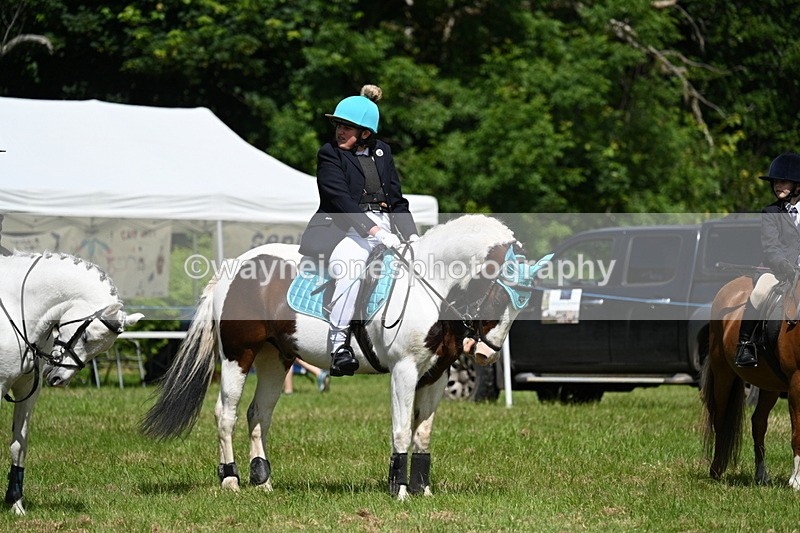 WJ7_1741 - Class 9 Pony Club Pony