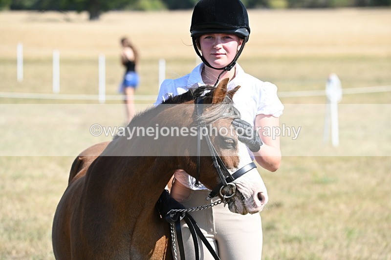 WJ6_7641 - Class 34 Judges Choice