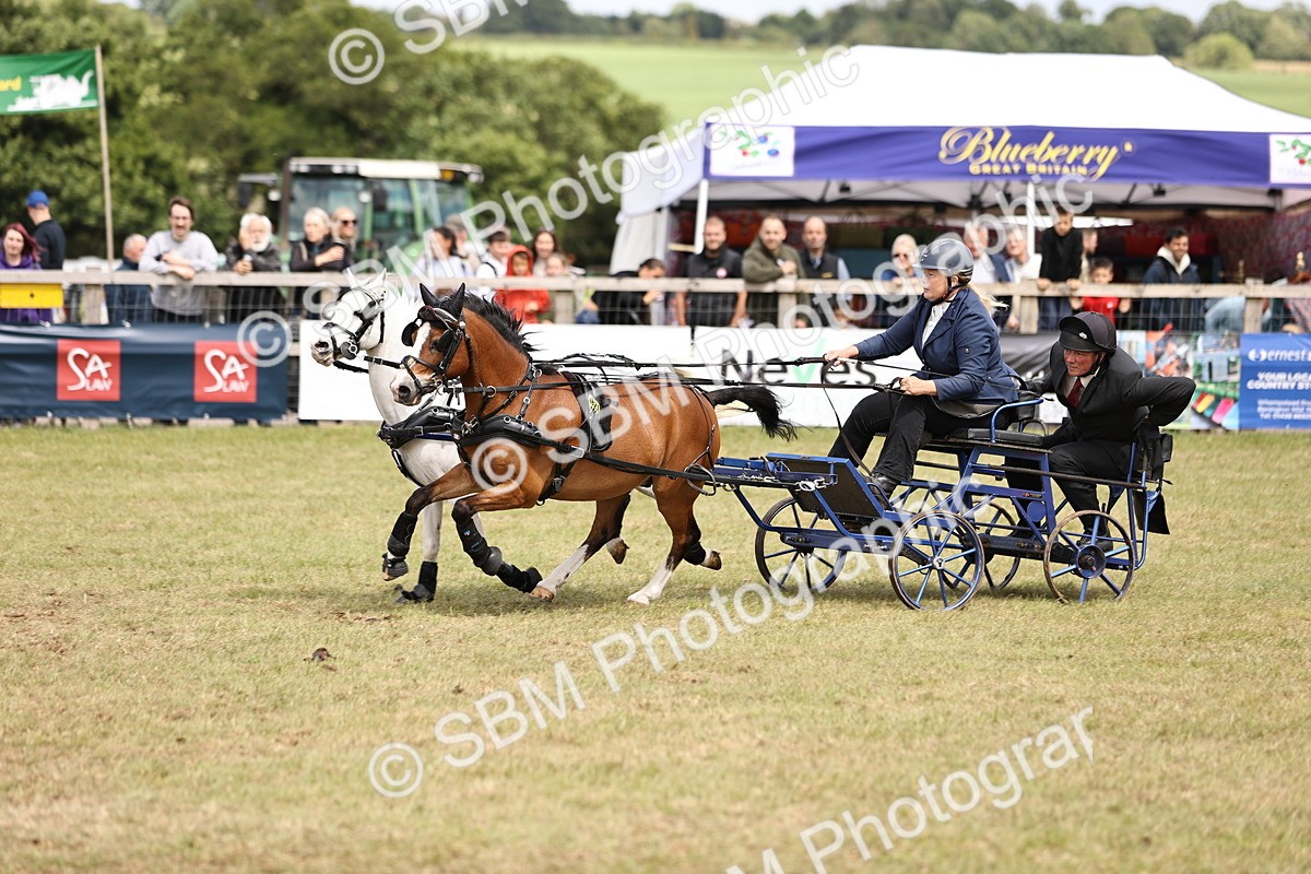 SBM_16060 - Class 91 - Scurry  exceeding 122cms