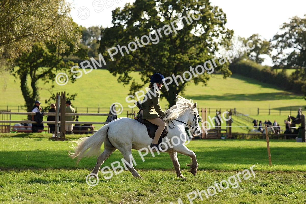 SBM_52392 - S13 - Pony Club Pony