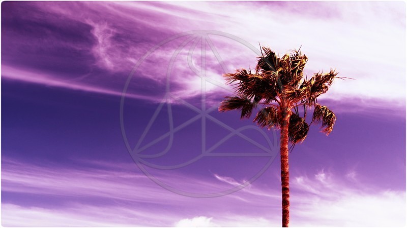 Crossed_Sky - Everything Else