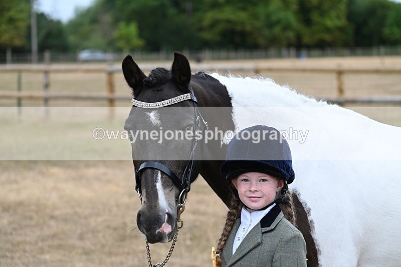WJ7_9700 - Class 5 Most Handsome Gelding (up to 14.2hh)