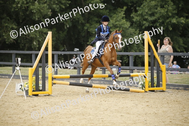 20250622-5829 - 60cm