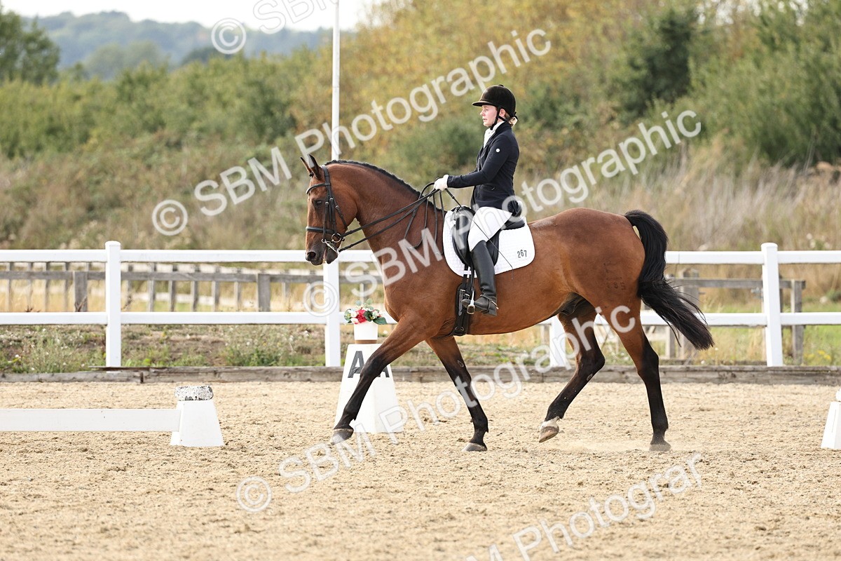 SBM_016317 - Class 10 - Advanced Medium 5