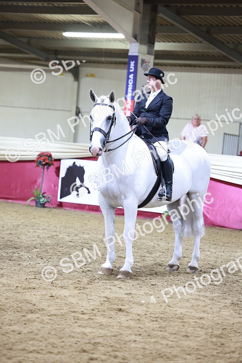 SBM_21158 - class Q - Ridden Horse Champ