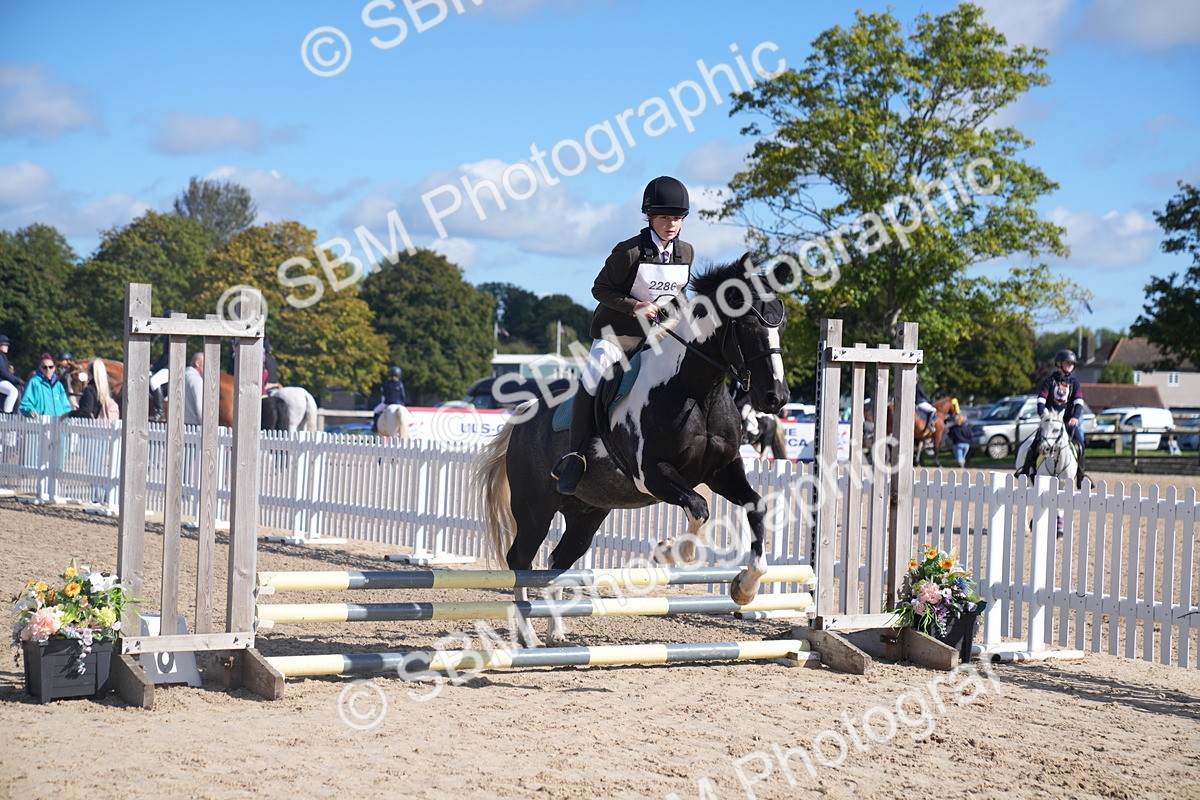 SBM_02420 - J54 Clear Round 45cm