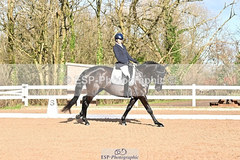 241214-114408-01437 - 151-Elder.Klatzko-Dynasty.Hit