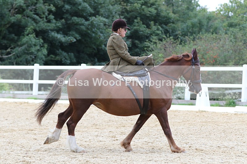 0I1A7067 - Class 9: Prelim Freestyle to Music