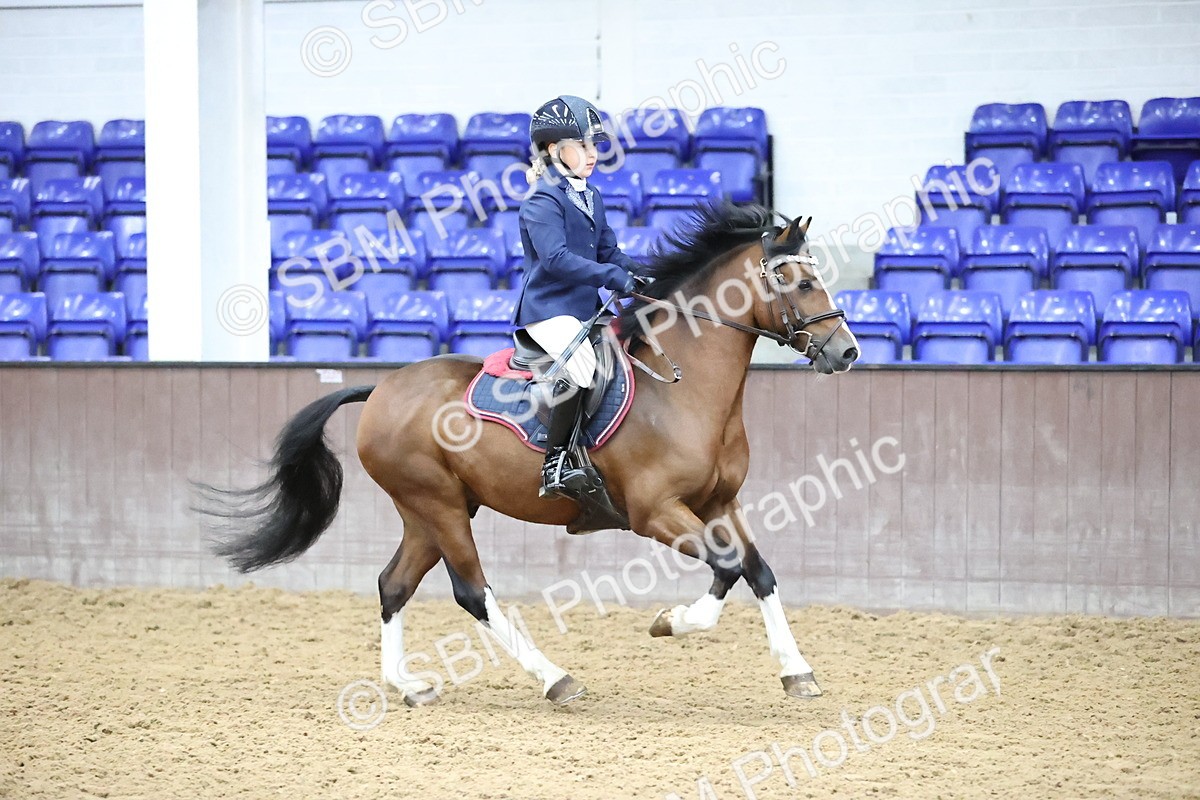 SBM_003074 - Class 9 - Stepping Stones 128cm 138cm Handicap 75cm 85cm