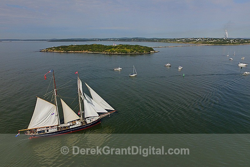 Wylde Swan Tall Ships Rendezvous 2017 Saint John New Brunswick Canada - Tall Ships