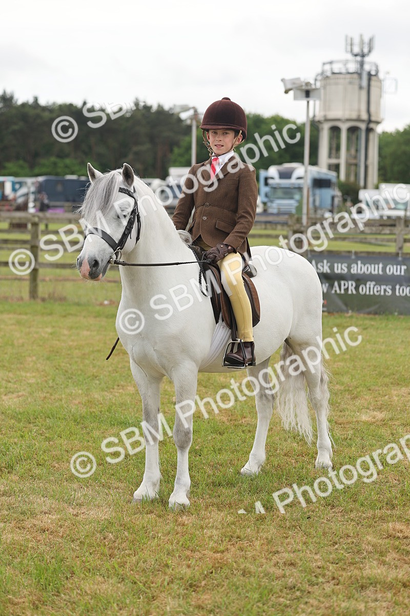 SBM_06880 - Class 74-75 - M&M Lead Rein and First Ridden Pony