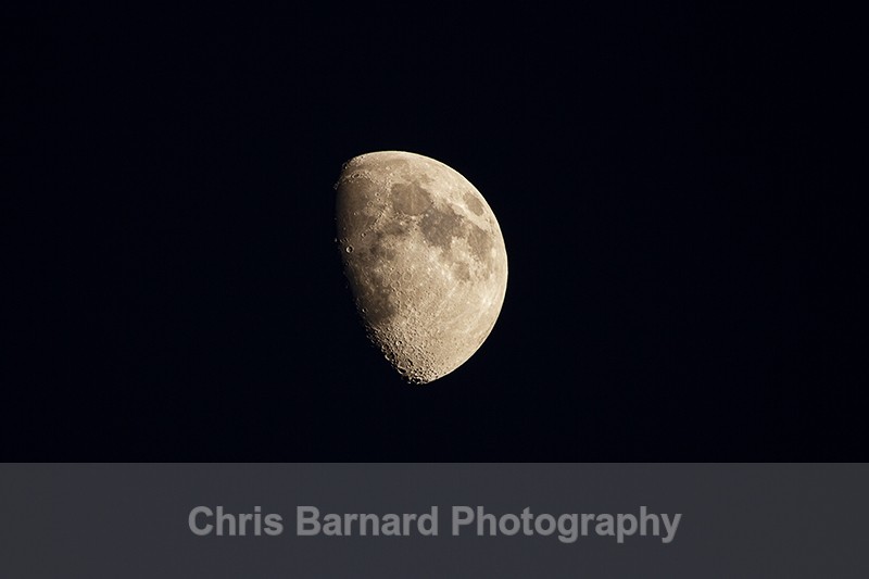  - Moon Pictures