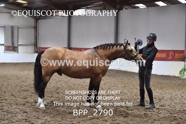 BPP_2790 - LOOSE JUMPING / SPSS