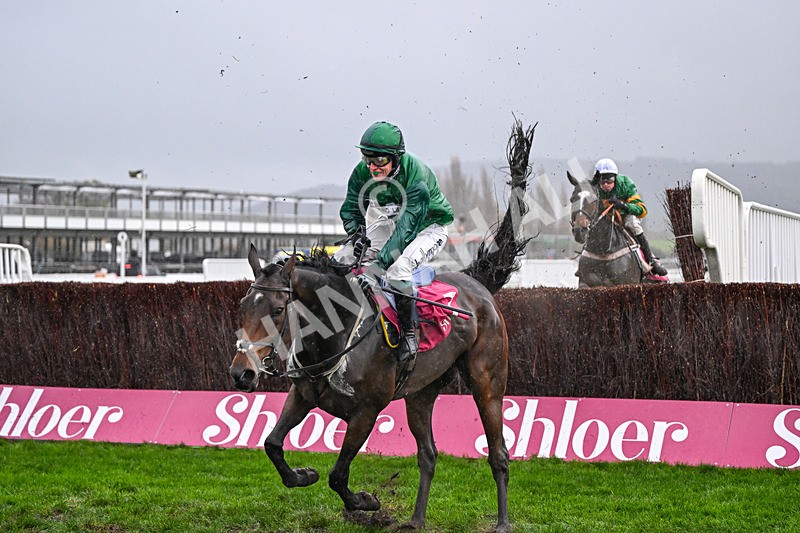 141125-Race 4-Matata-0440 - Race 4