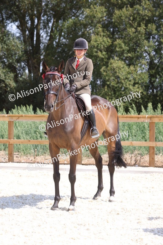 20260802-0740 - Class 8 - Best Riding Horse or Pony