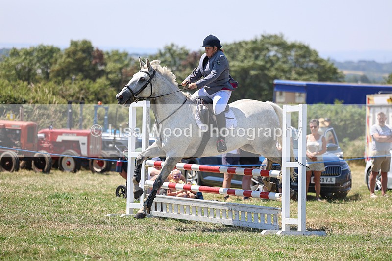 3E7A4378 - Class 10: Senior British Novice/90cm open